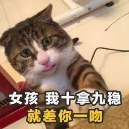  土味撩妹撩汉表情包,爱情与你只差这张图