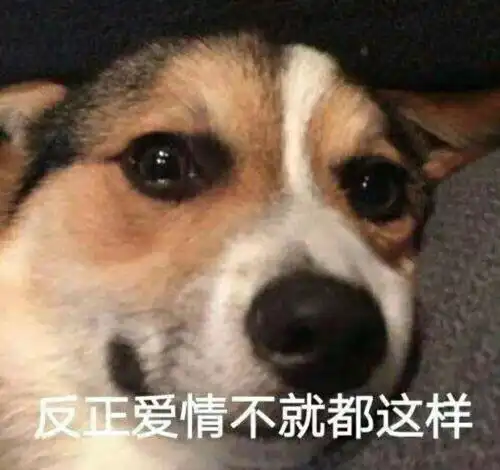  狂放不羁狗狗表情包