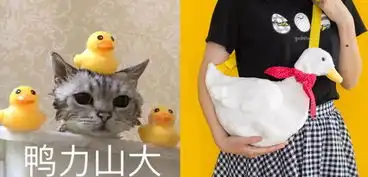  90后杭州女生淘宝卖表情包周边,年销售数百万,人生从此开挂