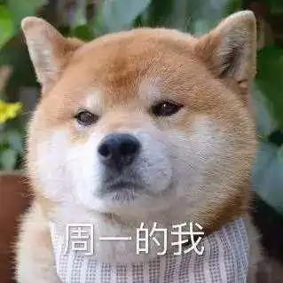  晚睡不是我的错,可能是命中注定的