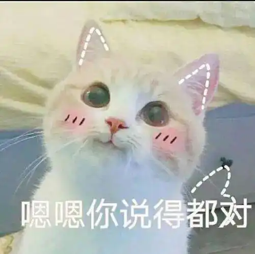 猫咪吓出双下巴表情包蜡