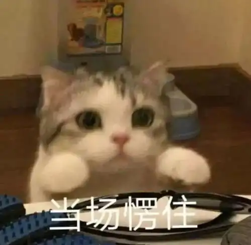  表情包猴子偷桃