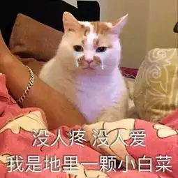  丝巾,大妈最后的骄傲单反,大爷最后的倔强