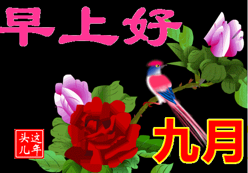  不用打字聊天的早上好动画表情包,最新群发早安问候祝福动态表情图片