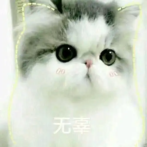  最近无聊到重温爸爸去哪儿
