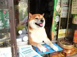  它看得了店,卖得了萌,还时常出现在表情包里