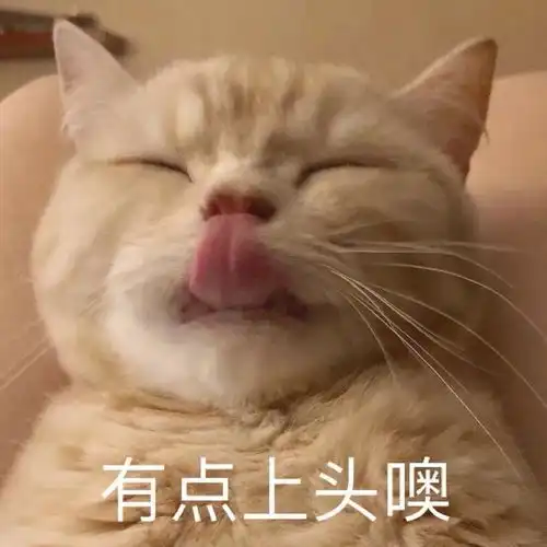  萌宠表情包谁的小宝贝在找我