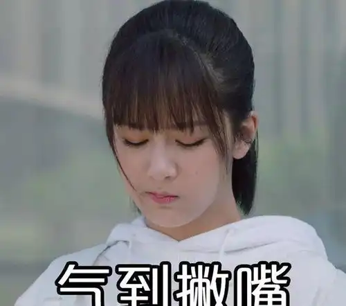 重要事情图片表情包杨紫