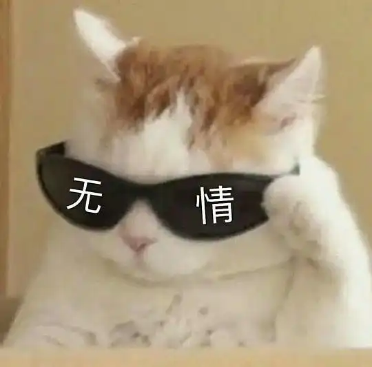  玫瑰沾白糖的相册天使猫猫的表情包