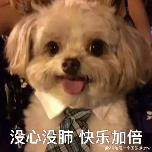  [修行]