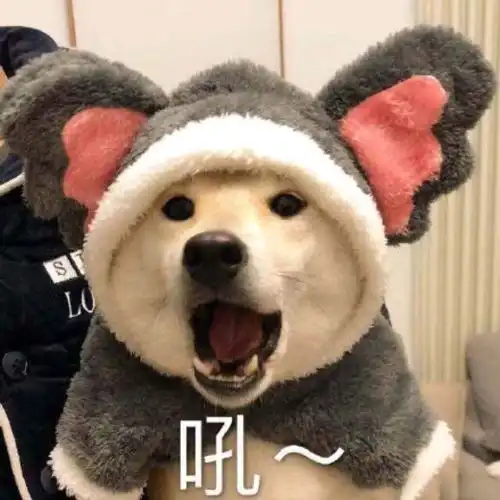  学习之路道阻且长,好资源怎能不与小朋友们分享