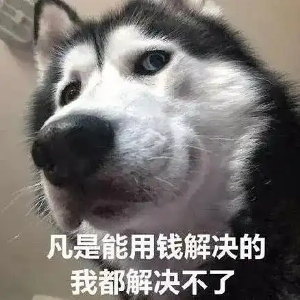 反了你了狗子表情包