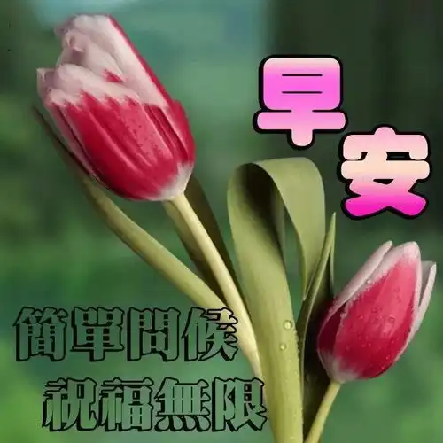  星期一非常漂亮的早上好问候语动态表情图片,最美早上好祝福语