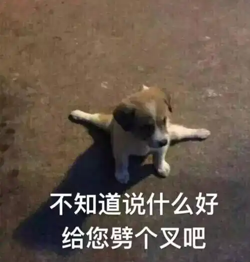  如何评论白金377614k的阻尼感