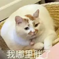  太胖了抱不住表情包