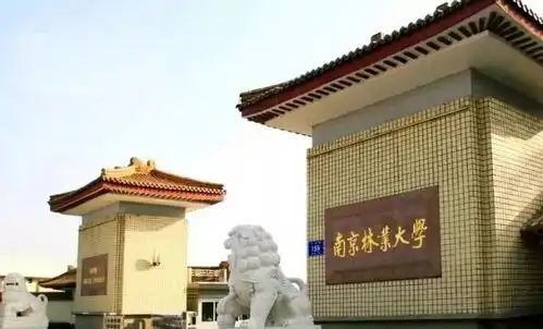  春,追溯南林的小时光