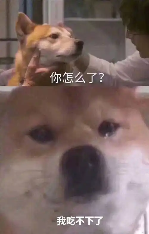  ff14制作人说他想做一款吃鸡游戏,或许他已经做到了