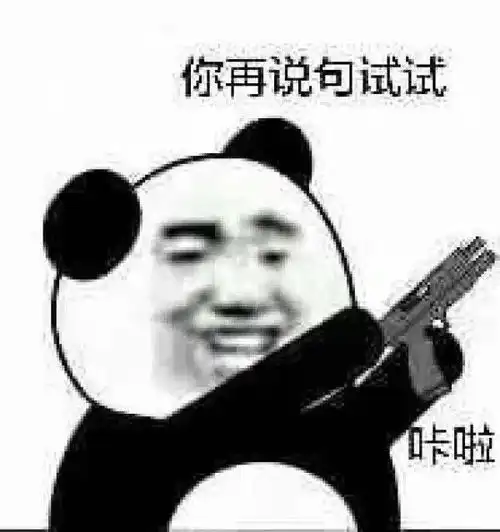抓贼的表情包熊猫