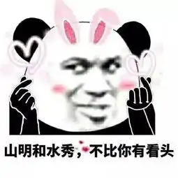 表情包大林开骂