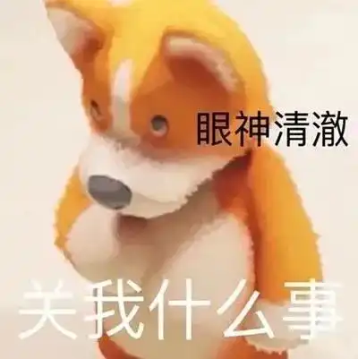  最新日常聊天表情包