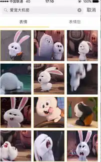  求爱宠大机密兔子高清表情包
