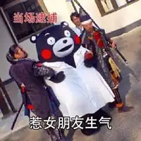  当场逮捕表情包