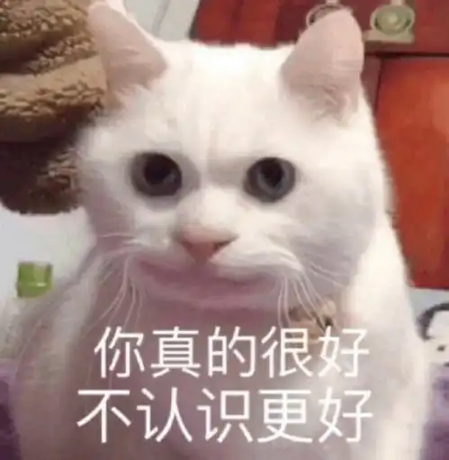  超适合发朋友圈的俏皮文案超可爱的表情包
