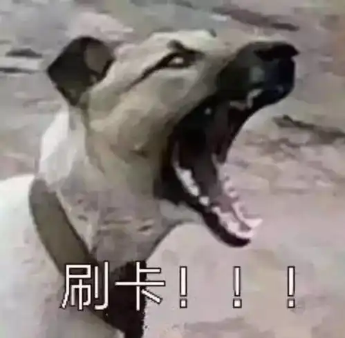 熊猫狗图片表情包娘子