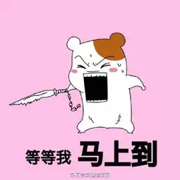  仓鼠qq表情包