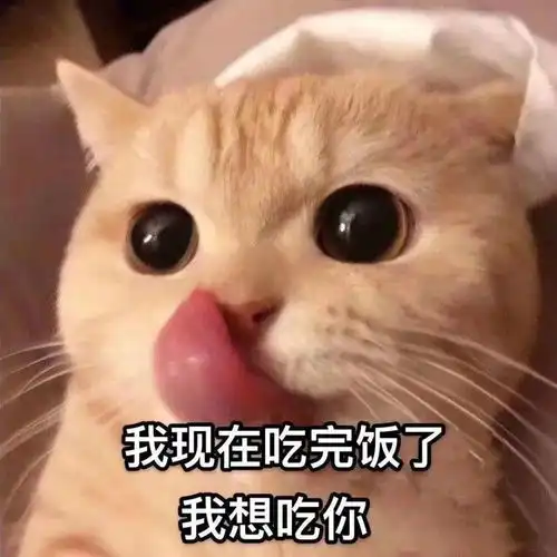  把你家臭宝怼到角落落里的表情包