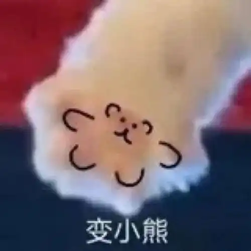  如果慈和jo两个人前5出道,就抽一个人200