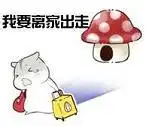  仓鼠夫妻
