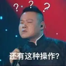  欢乐喜剧人魔王岳云鹏爆笑归来