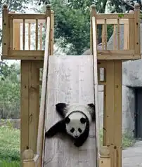  华盛顿邮报一周动物图片集锦
