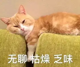  暑假兼职,新技能get