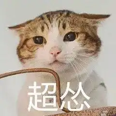  过瘾导游终于怒了咱这暴脾气