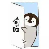  这三只沙雕企鹅,不只是表情包