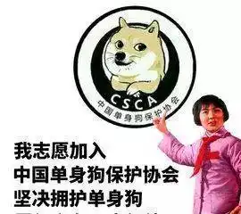 万年单身橘猫被偷亲,瞬间懵了,铲屎官却笑得合不拢嘴