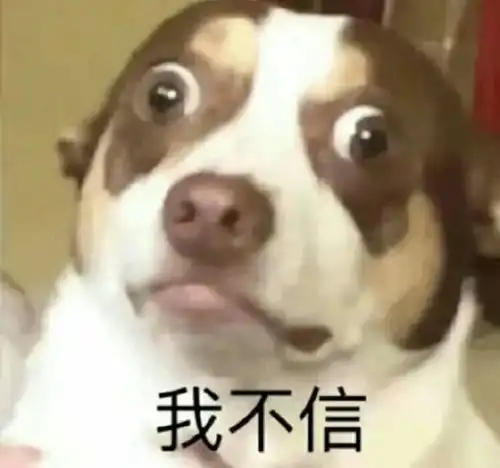 表情包微信聊天套路表情包小动物表情包可爱喵星人表情包
