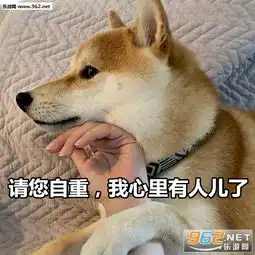 柴犬挨打表情包双休