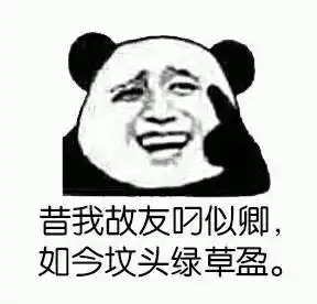  骂人表情图,贱萌贱萌的好喜欢