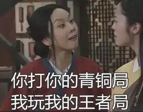你在骂孙笑川表情包神剧