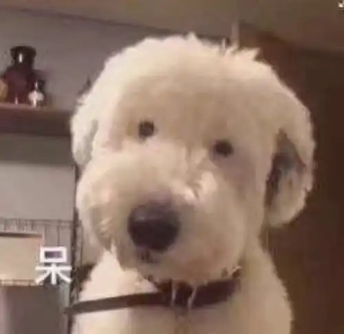 打狗狗表情包吐舌