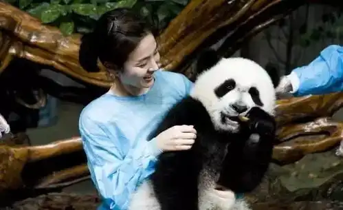  周一请吃素吃素的双宋什么是心安,你就是答案