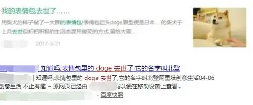  表情包里的神烦狗doge,现在过得怎么样