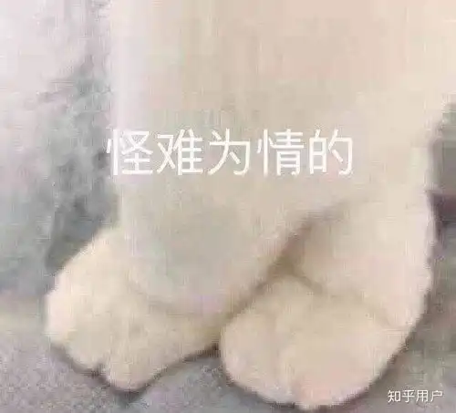  有一个沙雕女朋友是一种怎样的体验