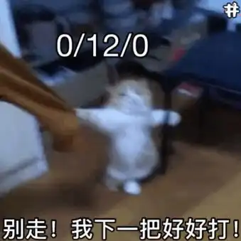  可爱沙雕表情包宝贝,没有过程的感情,是没有结果的
