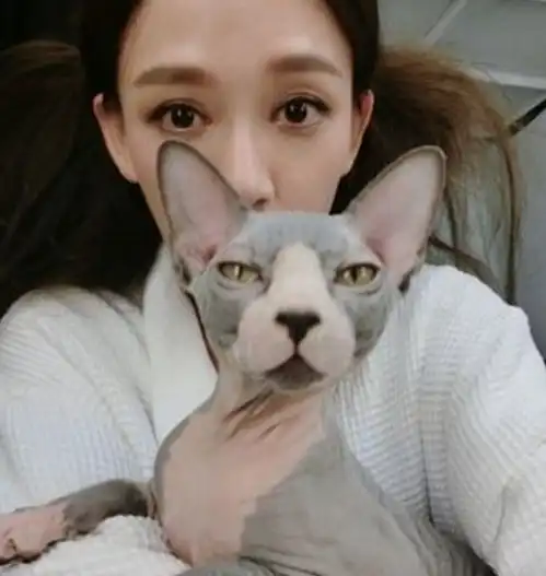  陈赫的宠物狗,陈乔恩的宠物猫,都输给了她的宠物相当的吓人