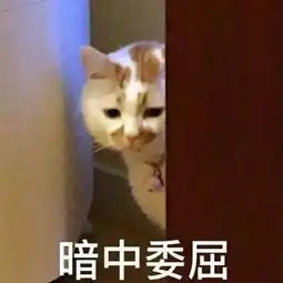  表情包楼板猫表情包