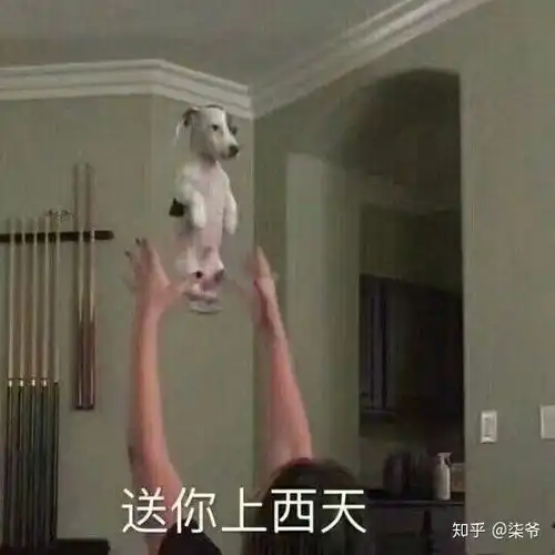  如何评价红楼梦司棋这个人物
